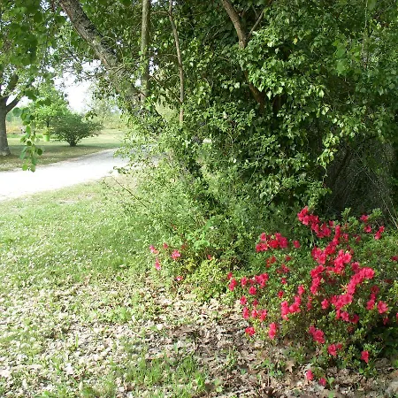 Hotell Restaurant Clos D'