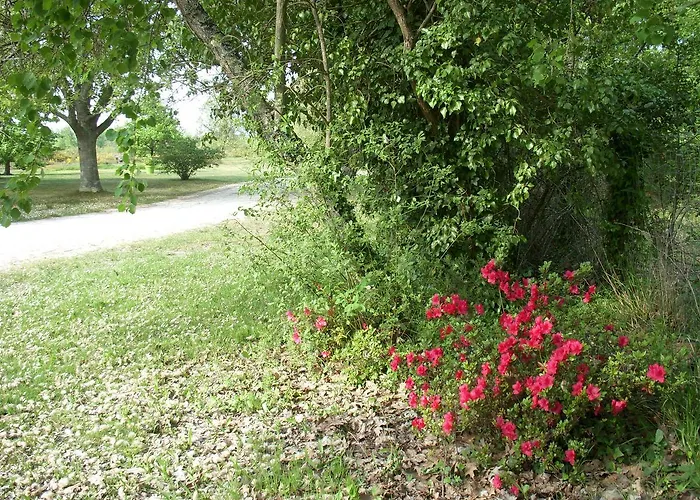 ホテル Restaurant Clos D'